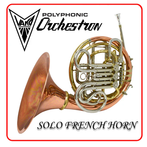 Solo French Horn - Orchestron Disc